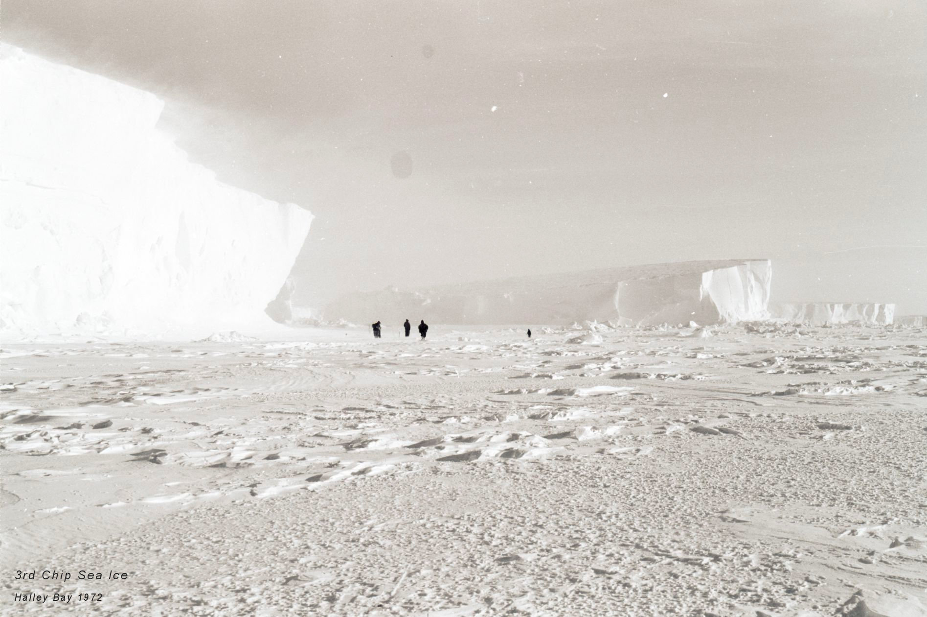 3rd Chip Sea Ice (1)